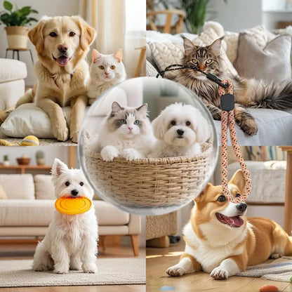 Memory Sphere™: Customizable Ornament